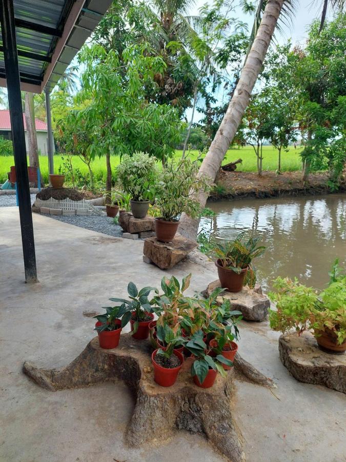 Pink Homestay D'Perlis Kangar Eksteriør billede